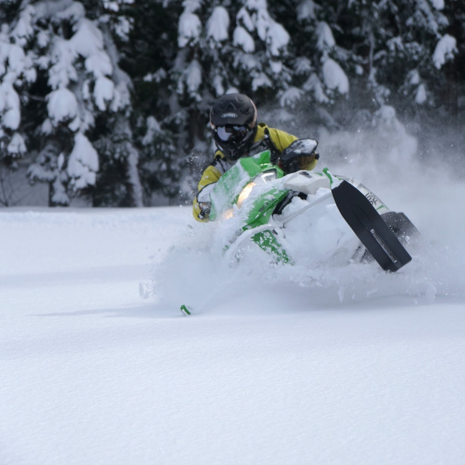 1500-1500-2.jpg?v=1667749538