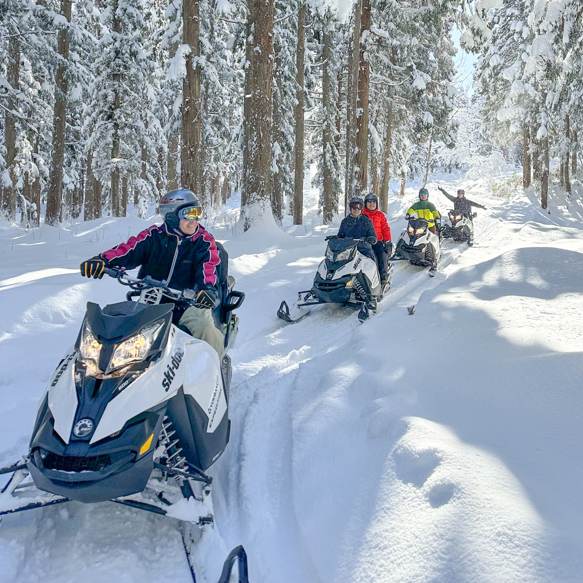 IMG_7119_edit-4_1200x.png?v=